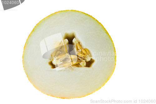 Image of Melon