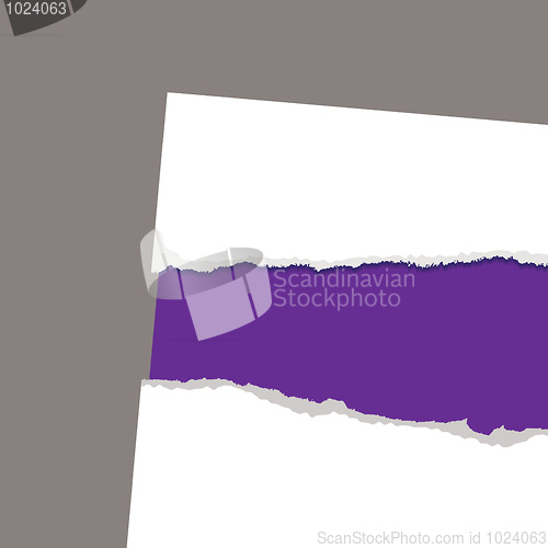 Image of torn paper reveal purple
