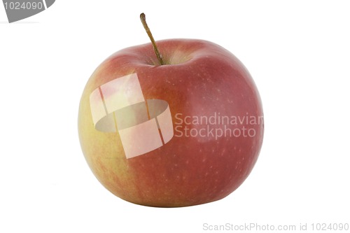 Image of red apple