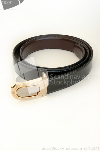 Image of Mens Belt Isolated