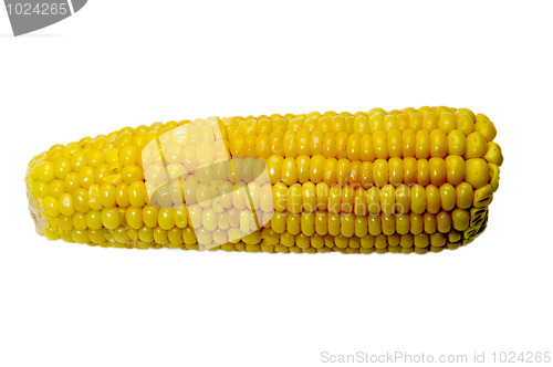 Image of Corn