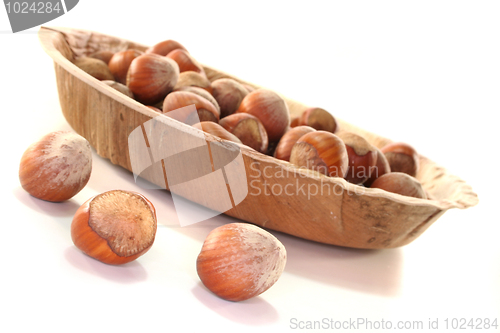 Image of Hazelnuts