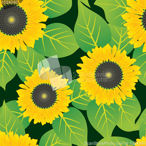 Image of Abstract sunflowers flowers background.