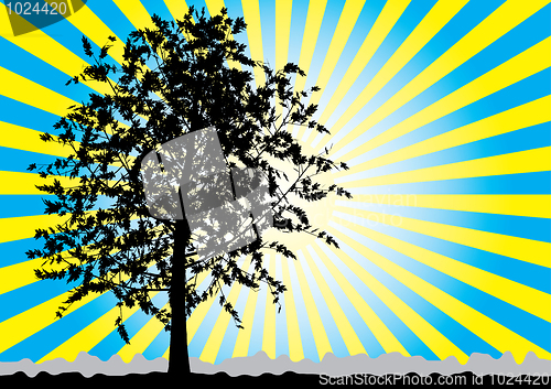 Image of Tree silhouette on sky rays background.