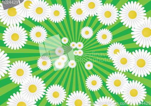 Image of Abstract rays background. White - green palette.