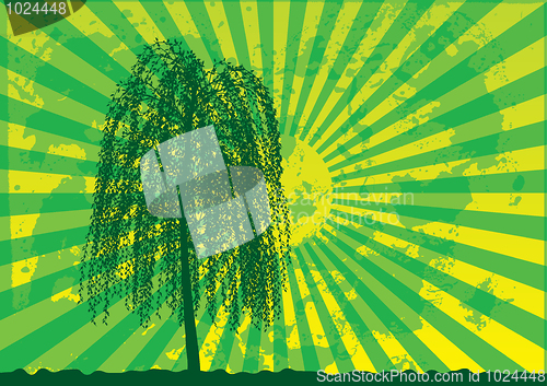 Image of Tree silhouette on grunge rays background.