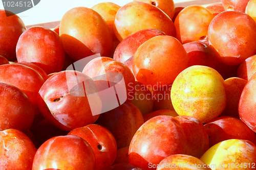 Image of Plums