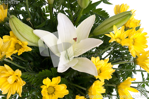 Image of Detail of yellow daisy flowers 