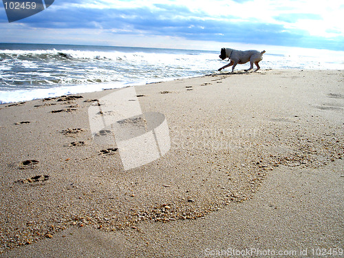 Image of touching the wave