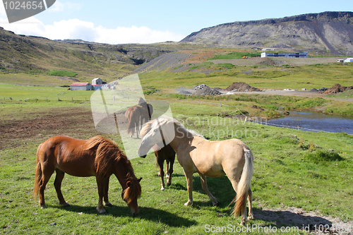 Image of Iceland