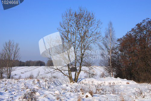 Image of Winter in Poland