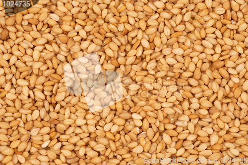 Image of Sesame seeds