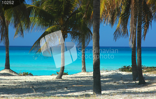 Image of Tropical Beach