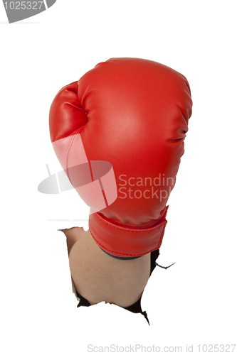 Image of Box glove