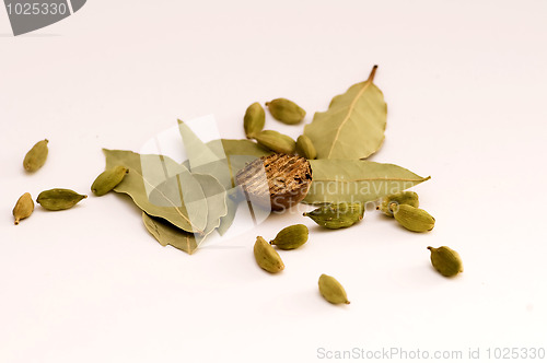 Image of Bay Leaf, cardamom and nutmeg