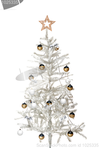 Image of Christmas tree