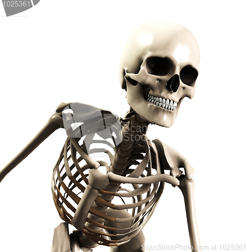 Image of Skeleton Bending Forward 