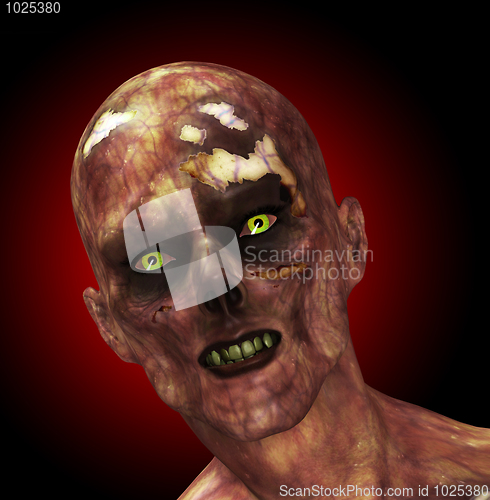 Image of Moldy Zombie