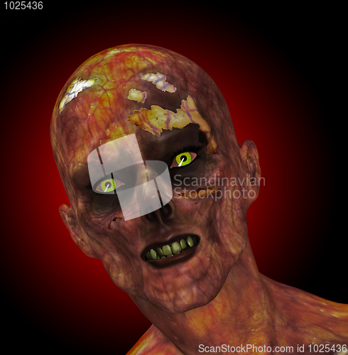 Image of Moldy Zombie