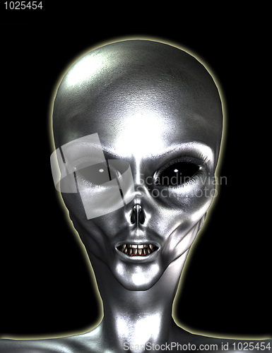 Image of Silver Grey Alien