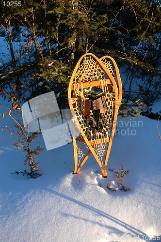 Image of Snowshoes