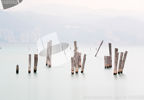 Image of wood in water