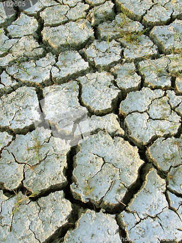 Image of Parched earth