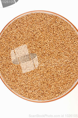 Image of Sesame