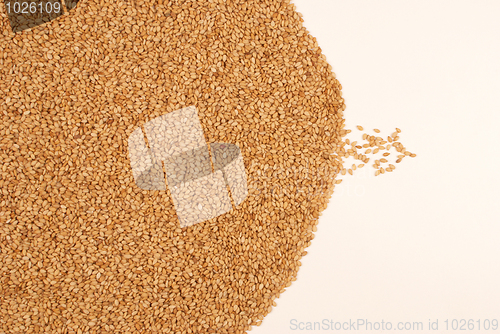 Image of Sesame