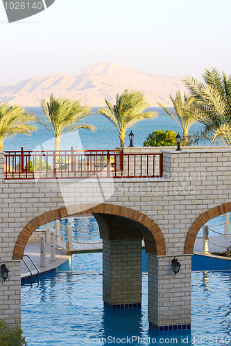 Image of Palm trees, Red Sea, mount, bridges and swimming pool