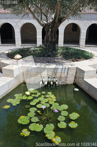 Image of The Church of the First Feeding of the Multitude at Tabgha, pati