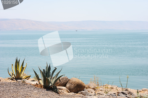 Image of The shore of lake Kinneret