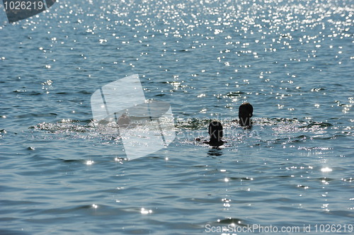 Image of Swimming in lake Kinneret