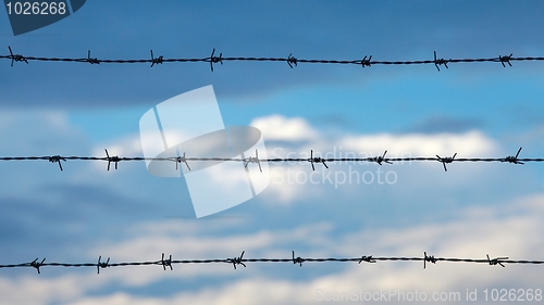 Image of Barbed Wire