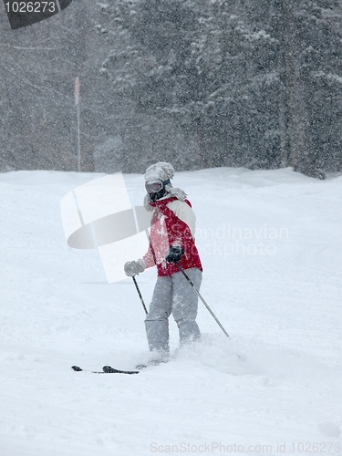 Image of Skier