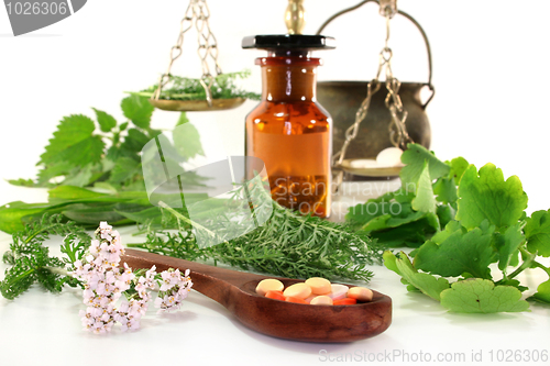 Image of Naturopathy