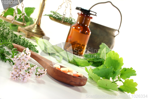 Image of Homeopathy