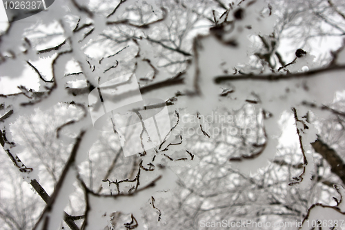 Image of Winter Abstract