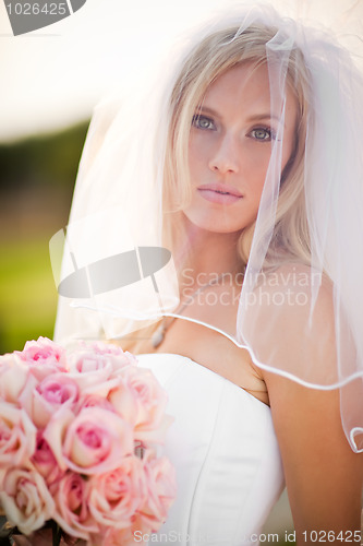 Image of Beautiful bride