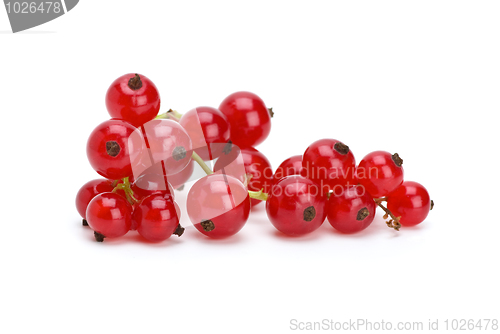 Image of Claster of red currants