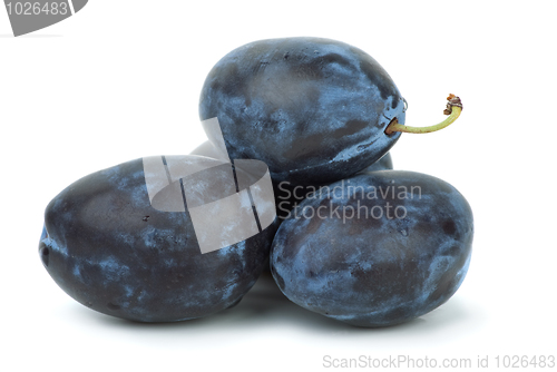 Image of Four blue plums