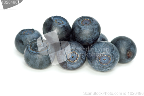 Image of Few blueberries closeup