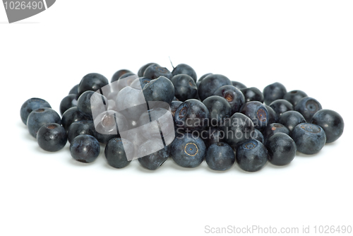 Image of Pile of blueberries