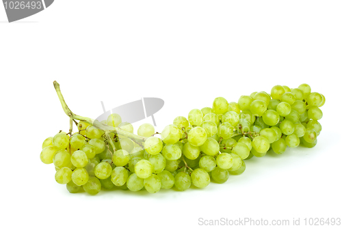 Image of Bunch of green seedless grapes
