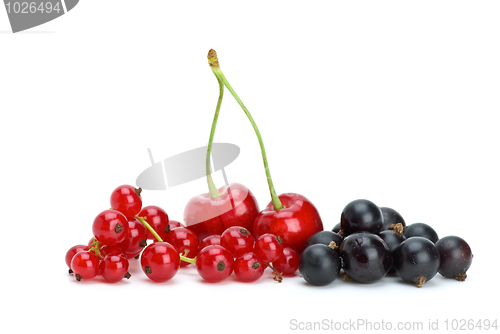 Image of Redcurrants,blackcurrants and red cherries