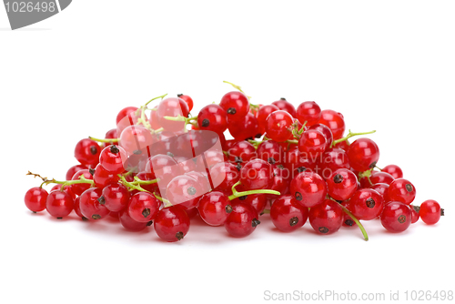 Image of Pile of redcurrants