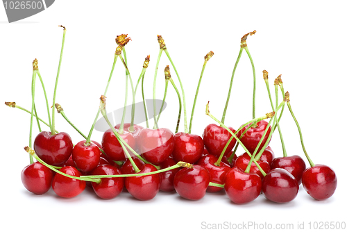 Image of Some red cherries with stalks