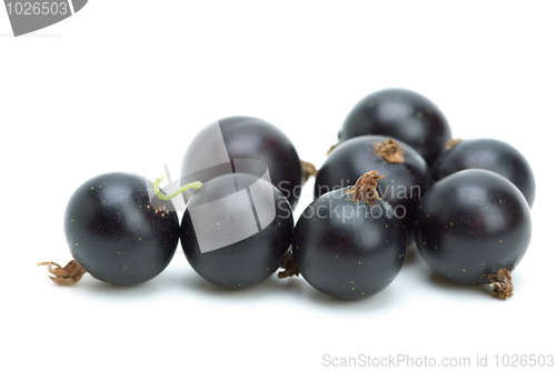 Image of Some blackcurrants