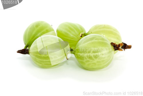 Image of Close-up shot of few gooseberries