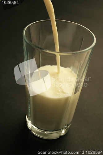 Image of Milk